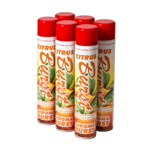 Airoma Burst spuitbus Exotic 6 x 750 ml